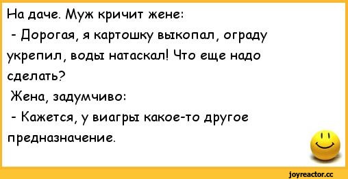 anekdoty-poshlye-anekdoty-241051