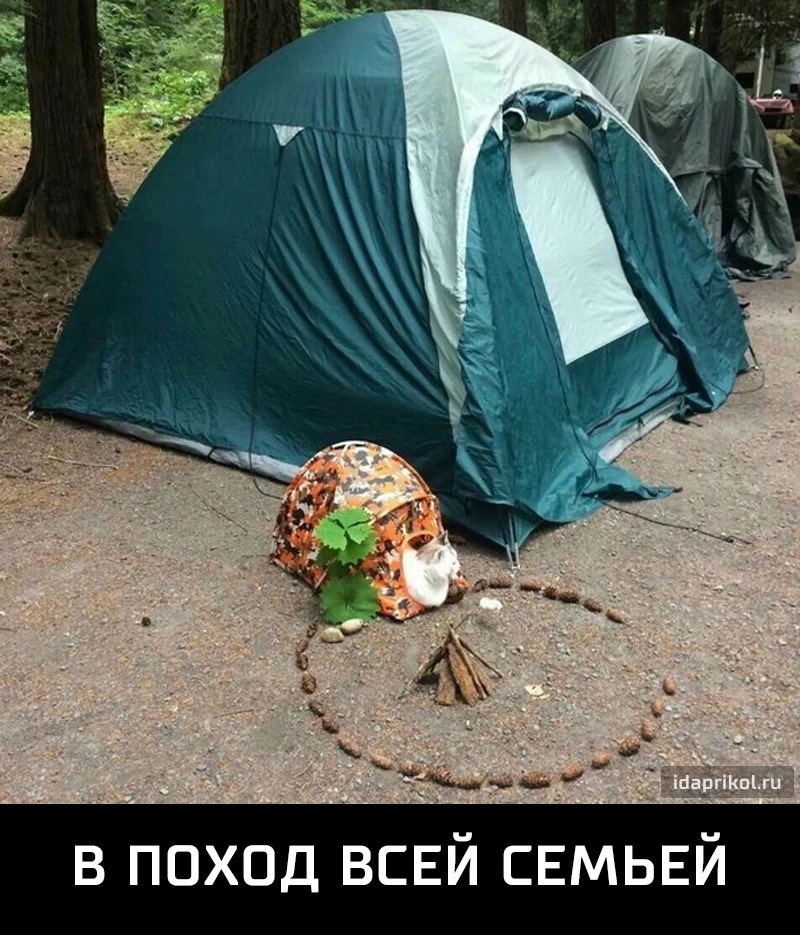 b8beb99s-960