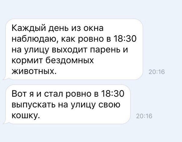 igor2-07081719200920_4