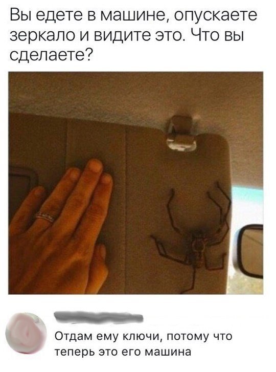 ssmmsmsmm6