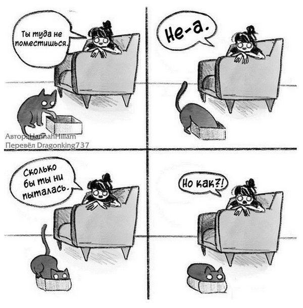5comix_01