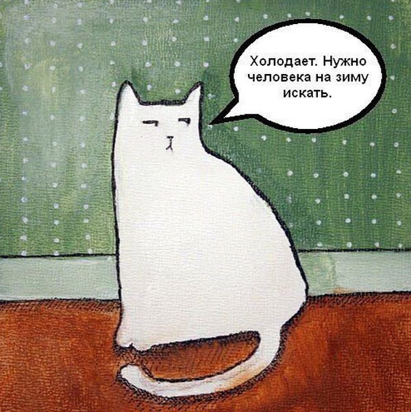 7comix_20