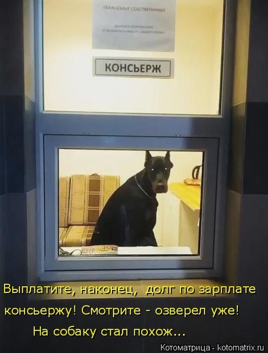 kotomatrix_02