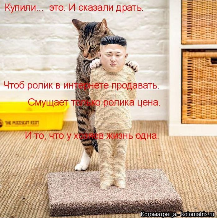 kotomatrix_03