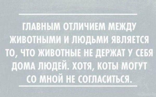 otkrsarkazm23