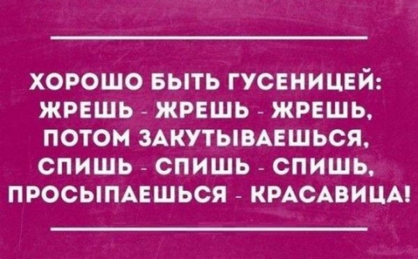 otkrsarkazm26